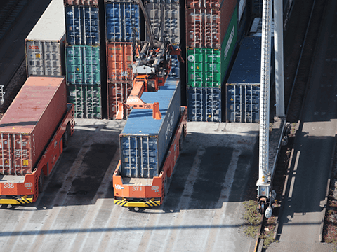 Your international transportation service assistant